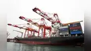 Agroexportaciones habrían perdido casi US$300 millones