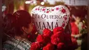 WhatsApp: envía las mejores dedicatorias, frases y saludos por el Día de la Madre