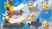 Pokémon GO: Lillipup aparecerá con frecuencia y así podrás evolucionarlo