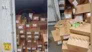 Gato sobrevivió tres semanas atrapado en un contendor comiendo bombones 