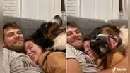 Perro ve a sus dueños en el sofá y hace de todo para acomodarse con ellos
