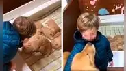 Niño ve por primera vez a las crías de su perrita y la abraza de la emoción