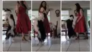 Perro ‘baila’ con su dueña al ritmo de música disco en divertida escena