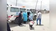 Arequipa: detectan 2 nuevos casos de rabia canina en Cerro Colorado