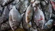 En el Perú, 7 de cada 10 pescados se venden con otro nombre