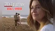 Una muerte impactante: Grey’s anatomy 17x07 volvió para despedir a doctor