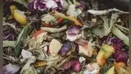 En el Perú, la mitad de los alimentos termina en la basura, según estudio