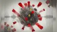 Estudio sugiere que el coronavirus es vulnerable al ultrasonido