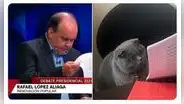 Memes del Debate Presidencial 2021: las imágenes más graciosas del tercer debate