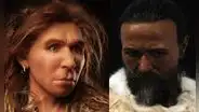 Estudio sugiere que los Homo sapiens tuvieron sexo constante con neandertales