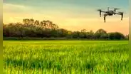 Lambayeque: usan drones y satélites para optimizar el cultivo de arroz