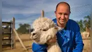 Anticuerpo de alpaca neutraliza las variantes más peligrosas del SARS-CoV-2