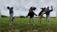 Mujer y su perro sorprenden en redes con entretenida dinámica
