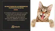 Veterinaria se vuelve viral por responder a campaña de ‘Perruqueo’