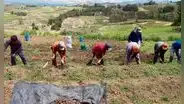 Alex Contreras: "Derogación de la Ley de promoción agraria fue nefasta para la agroexportación"