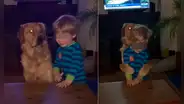 Perrito ‘abraza’ al hijo de su dueña y ambos demuestran que son los ‘mejores amigos’