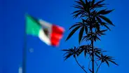 Suprema Corte de México tumba prohibición del consumo lúdico de marihuana