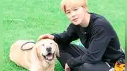 Jimin de BTS explica por qué no tiene mascotas actualmente