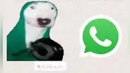 WhatsApp: ¿cómo crear stickers animados personalizados con un video o GIF en movimiento