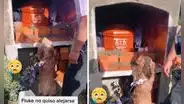 Perrito acude al sepelio de su dueño y no se separa ni un segundo del ataúd