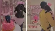 Familia celebra el cumpleaños de su perrita y canina ‘baila el vals’ con su dueño