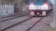 Chofer de tren reduce la velocidad para no atropellar a perro que caminaba en los rieles 