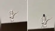 Encuentra a cucaracha ‘embalsamada’ entre la pared y la pintura e imagen desata hilarantes memes