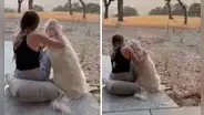 Perrito se sienta en la puerta de su casa a ver el atardecer y su dueña sale a acompañarlo
