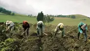 Transfieren S/ 400 millones a Agricultura ad portas del inicio de la segunda reforma agraria