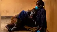 Ndakasi, la célebre gorila del Congo, murió en brazos de su cuidador