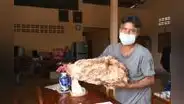 Tailandia: pescador halla “vómito de ballena” valorizado en más de 1 millón de dólares