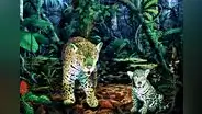Lanzan libro que recorre con el arte la biodiversidad amazónica