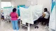 Dengue en Perú: ¿existe una vacuna contra esta enfermedad en el país?