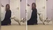 Perrito conmueve por su habilidad para realizar piruetas junto con su dueña