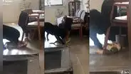 Perrito intenta jugar con su ‘amigo’ felino, pero este se aferra a una silla para evitarlo