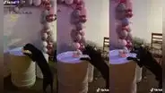 Atrapan a perrito comiéndose la torta que habían preparado para un cumpleaños