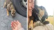 Mujer rescata a perrita que la abandonaron en la carretera y esta le agradece con ‘besos’