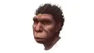 Homo bodoensis, el nuevo homínido que ordenaría la evolución humana según científicos