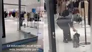 Vigilante de tienda Zara mide la temperatura a un perrito que quería ingresar al local