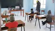 Plazas de Contrato Docente 2024: revisa aquí vacantes por colegio y región, según Minedu