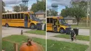 Perrito espera con ansias el autobús para recibir a su pequeño dueño que llega del colegio