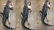 Mujer recibe un inesperado abrazo por parte de un caimán de más de 90 kilos