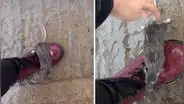 Joven encuentra a un pequeño roedor a su lado en un día lluvioso y decide ayudarlo