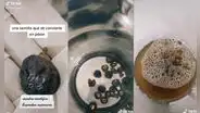 Joven enseña las propiedades de el choloque, una semilla que produce jabón natural 