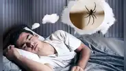 ¿Qué significa soñar con arañas? ¿Será una mala señal?