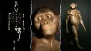 Lucy, la ‘madre de la humanidad’, cumple 47 años tras su descubrimiento