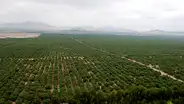 Chavimochic III: Midagri confirma ampliación del seguro de Palo Redondo hasta el 31 diciembre