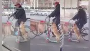 Hombre maneja un triciclo y es acompañado por su perro en un scooter
