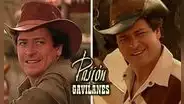 Pasión de gavilanes: ¿qué pasó con Pedro Roda, el famoso Olegario después de la telenovela?