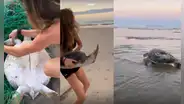 Gisele Bündchen salvó a una tortuga de morir atrapada en una red de pesca